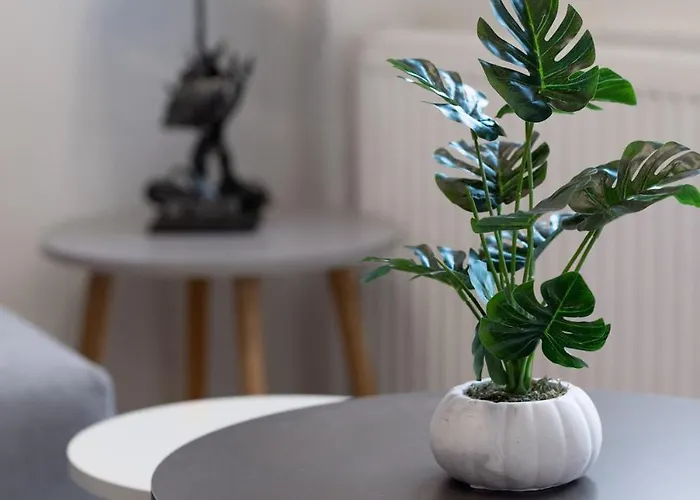 Luxury With Exceptional Terrace And Bosphorus View