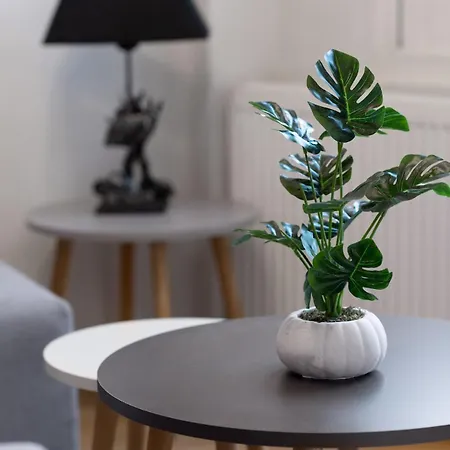 Luxury With Exceptional Terrace And Bosphorus View